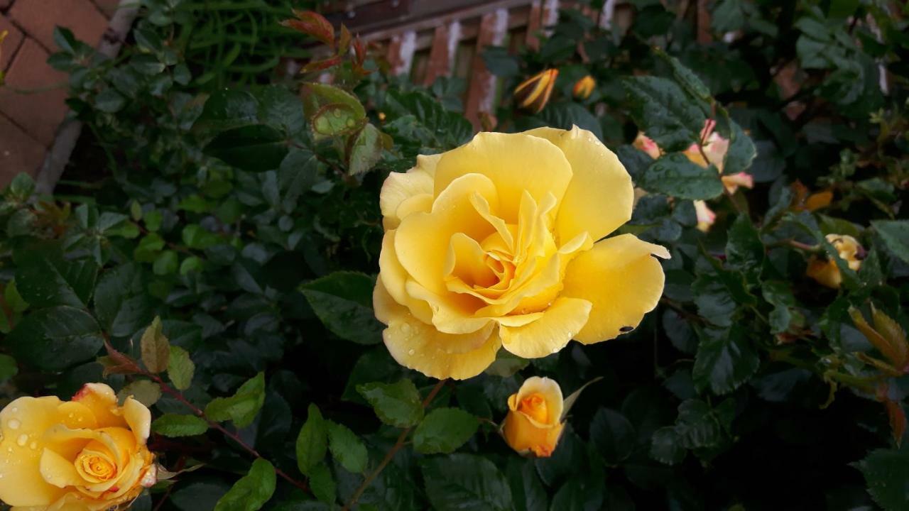 Reiterbauernhof Schoenlehenhof Mank Luaran gambar