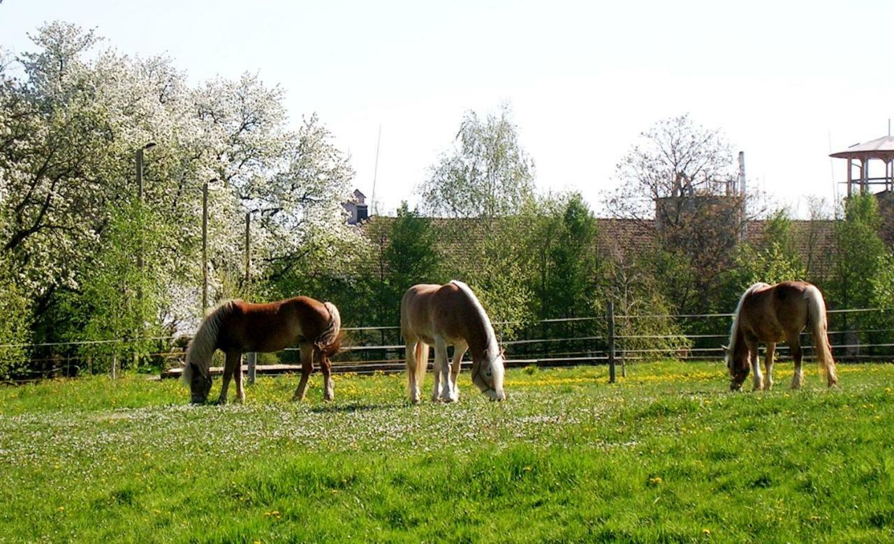 Reiterbauernhof Schoenlehenhof Mank Luaran gambar